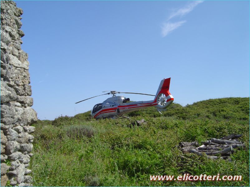 elifoto (52)